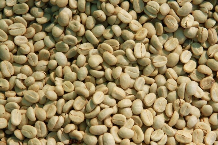 Coffee,Parchment,Drying,Washed,Processing